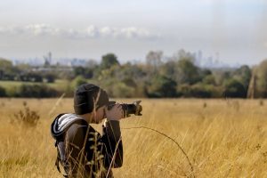 Wildlife Photographer Skills