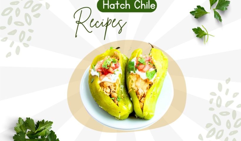 Hatch Chile Recipes