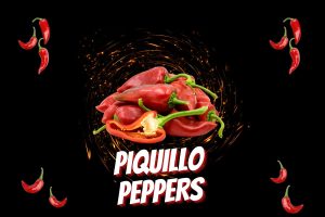 Piquillo peppers