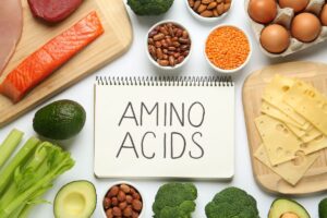 explain Amino Acids