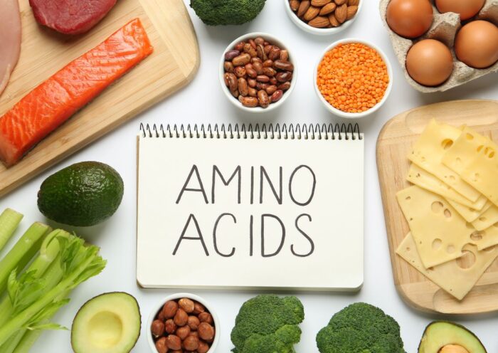 explain Amino Acids