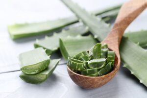 Aloe Vera Plant Recipes