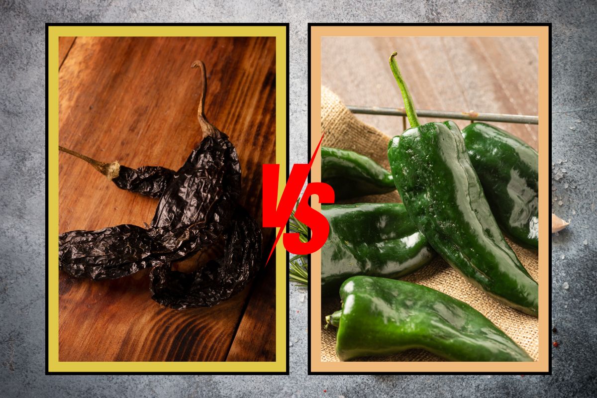 Pasilla vs. Poblano