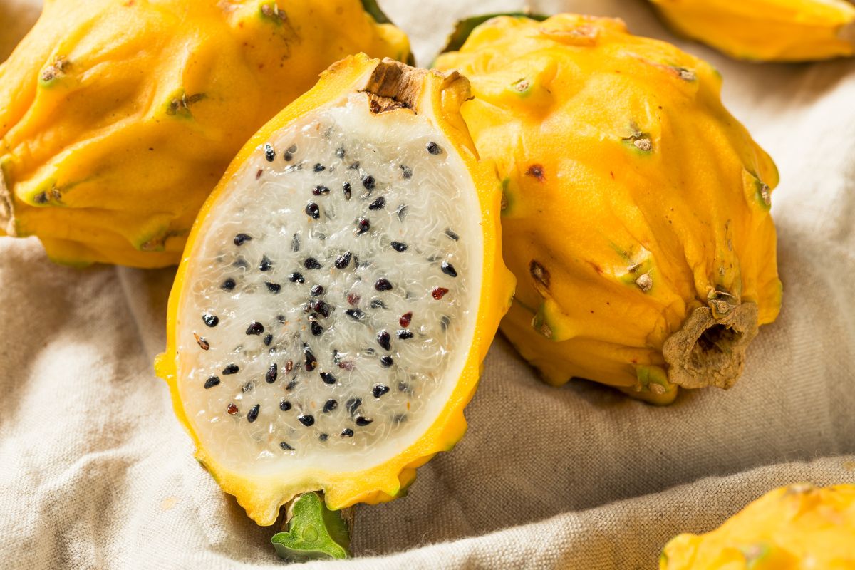 pitaya yellow dragon fruit