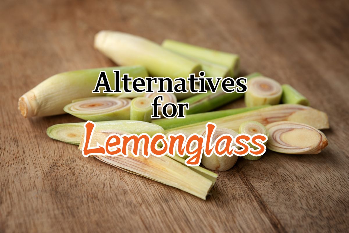 Lemongrass Alternatives