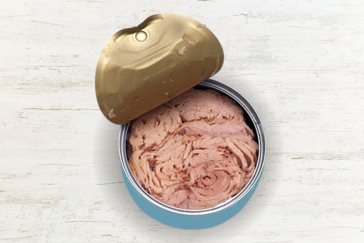 Canned Tuna