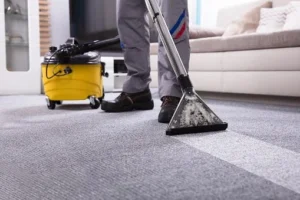 Carpet and Sofa Cleaning
